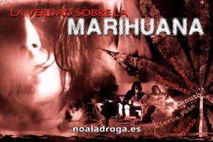 La Verdad sobre la Marihuana